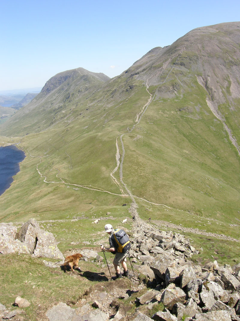 Seat Sandal